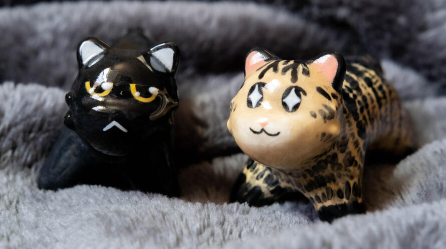 noki & yeongi