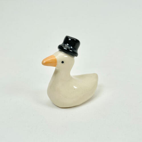 steven the duck