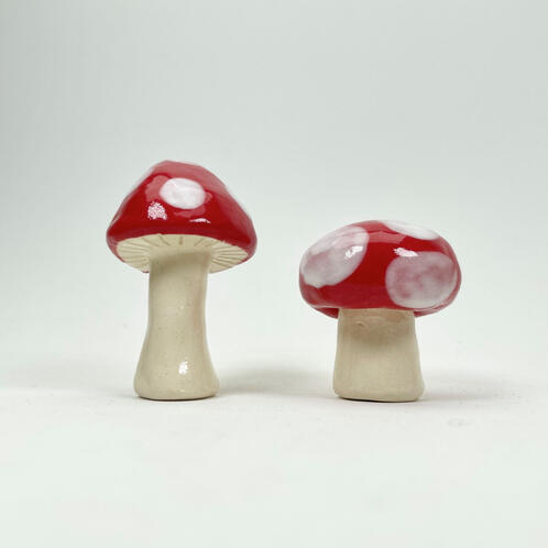 mushrooms